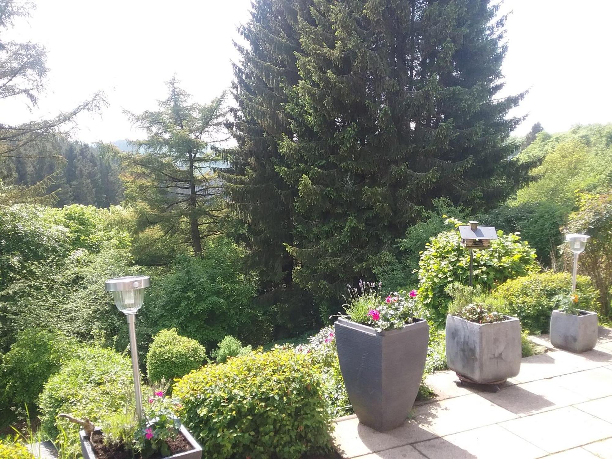 Perlenbachtal Apartment Monschau Exterior photo